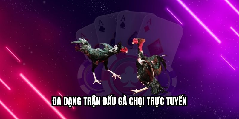 Đá Gà Sinh Đôi Mang Lại Trải Nghiệm Kịch Tính, Thú Vị Đa dạng trận đấu gà chọi trực tuyến
