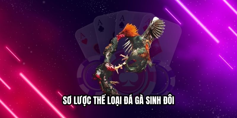 Đá Gà Sinh Đôi Mang Lại Trải Nghiệm Kịch Tính, Thú Vị Sơ lược thể loại đá gà sinh đôi